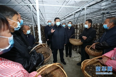 d4bac48abcd8452bb7a125bacfc30e5d.png image.png